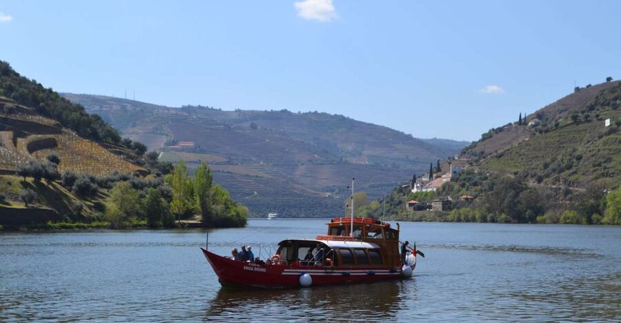 Porto: Douro Valley Vineyards Tour with Lunch & River Cruise - Why the Douro Valley is worth leaving Porto
