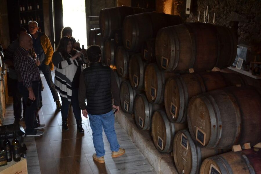 Porto: Douro Valley Vineyards Tour with Lunch & River Cruise - First tasting around Lamego