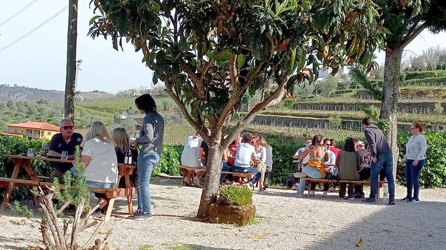 Porto: Douro Valley Vineyards Tour with Lunch & River Cruise - The guides make the long day easier