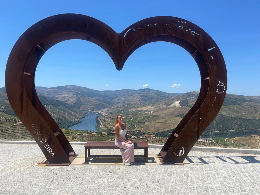 Porto: Douro Valley Wine Tour with a Sommelier & Boat Trip - Following the N222 toward the Douro