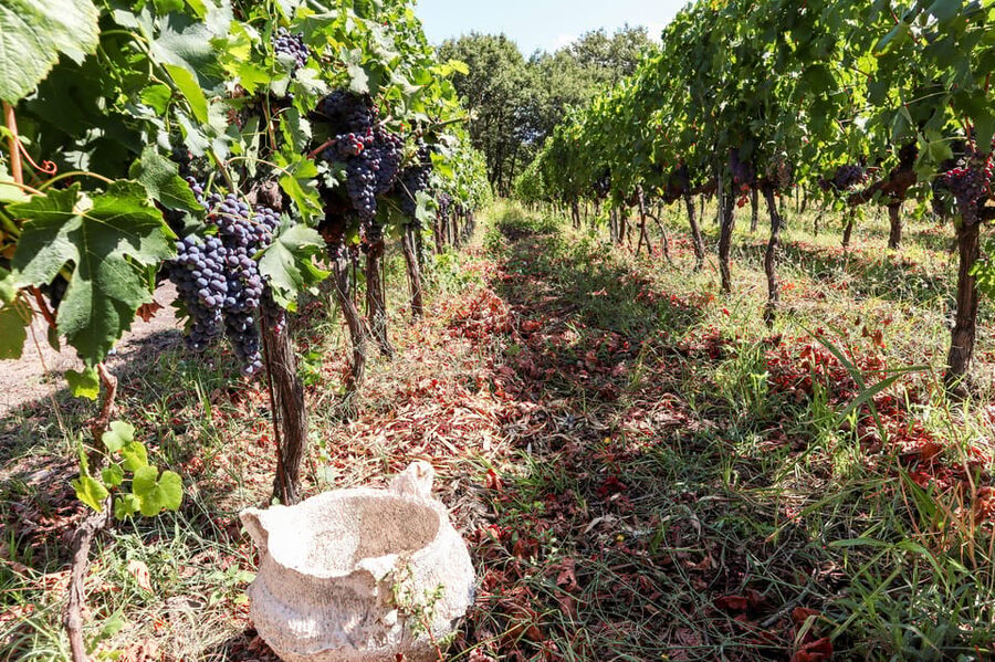 Porto: Douro Valley Wine Tour with a Sommelier & Boat Trip - A generous lunch in Pinhão