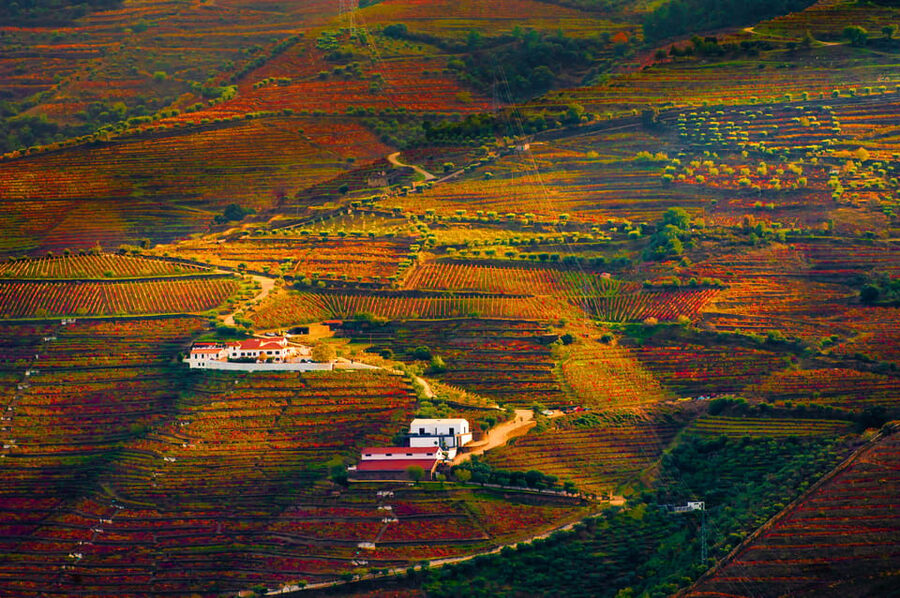 Porto: Douro Valley Wine Tour with a Sommelier & Boat Trip - Why the eight-person limit matters