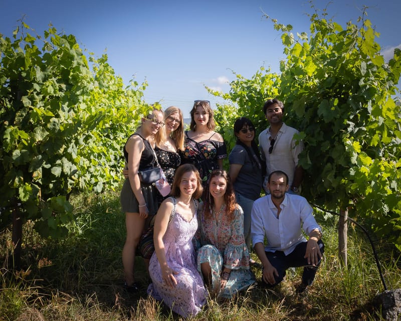 Porto: Douro Valley Wine Tour with a Sommelier & Boat Trip - Price, timing, and overall value
