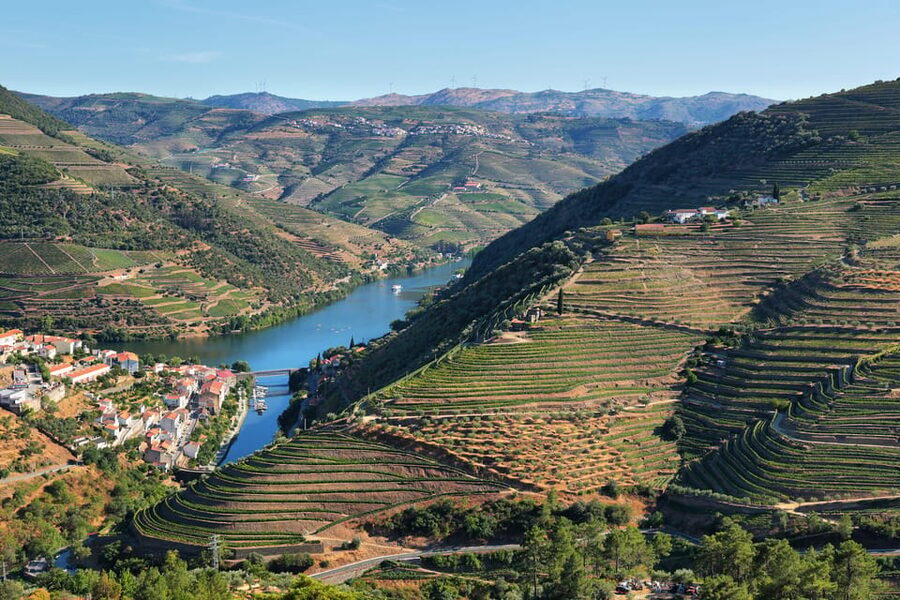 Porto: Douro Valley Wine Tour with a Sommelier & Boat Trip - A four-century-old family winery in Penafiel