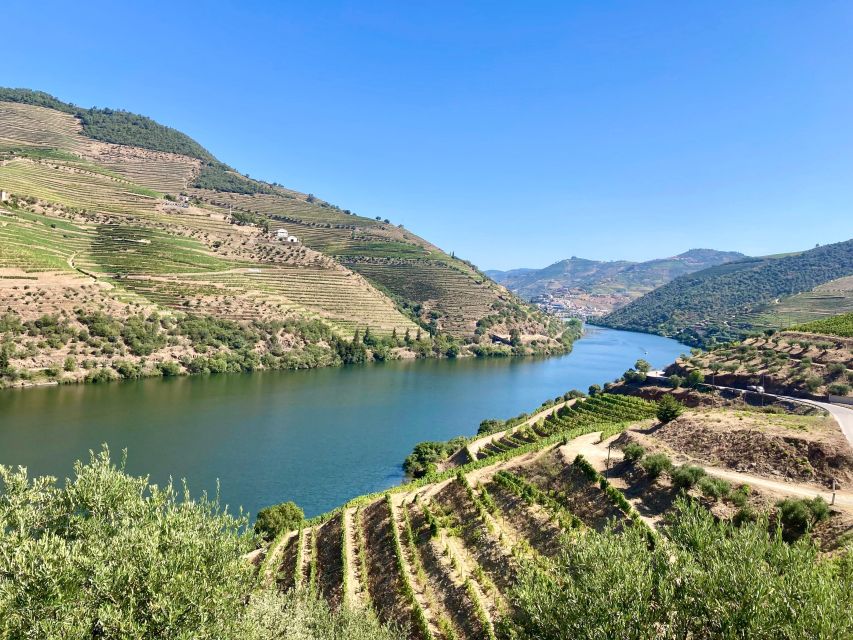 Porto: Douro Valley Wine Tour with Tastings, Boat, and Lunch - Key points to know before booking