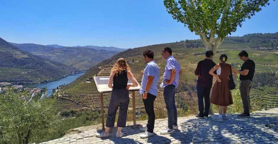 Porto: Douro Valley Wine Tour with Tastings, Boat, and Lunch - How much wine should you expect?