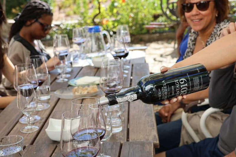 Porto: Douro Valley with Small Wineries, Lunch and Boat Tour - Key points to know before booking