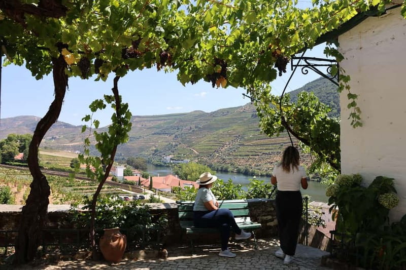 Porto: Douro Valley with Small Wineries, Lunch and Boat Tour - A five-minute river stop before Pinhão