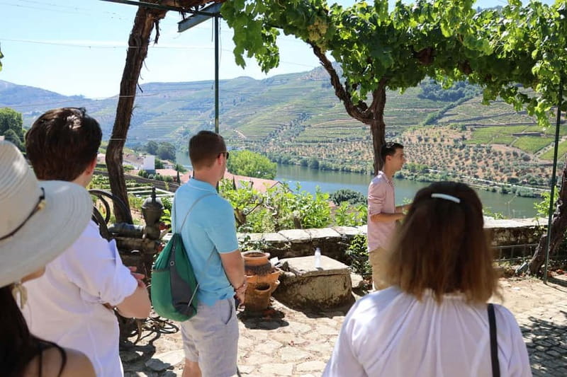 Porto: Douro Valley with Small Wineries, Lunch and Boat Tour - Pinhão lunch and the Douro River cruise