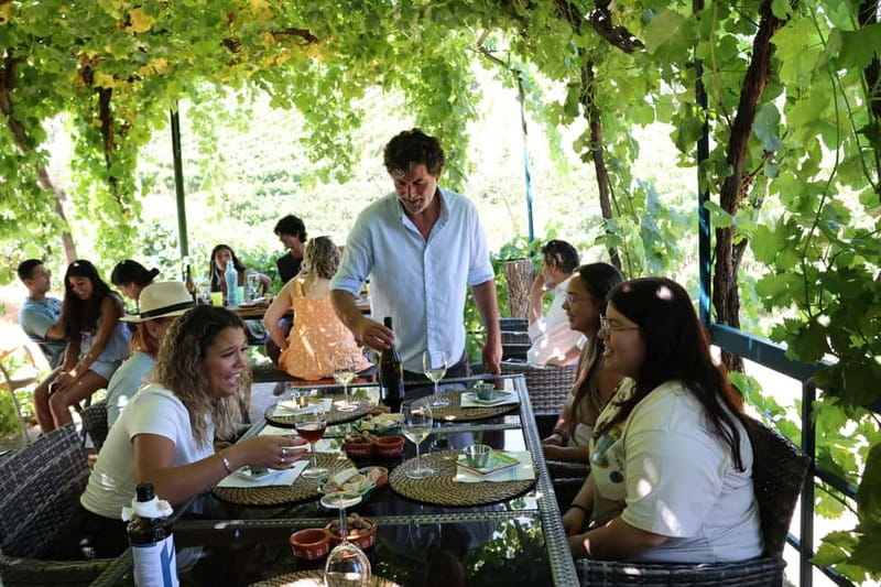 Porto: Douro Valley with Small Wineries, Lunch and Boat Tour - The N222 scenic drive through the valley