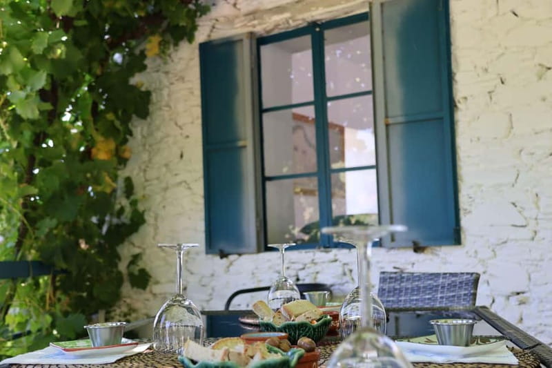 Porto: Douro Valley with Small Wineries, Lunch and Boat Tour - Guides, group size, and the human touch