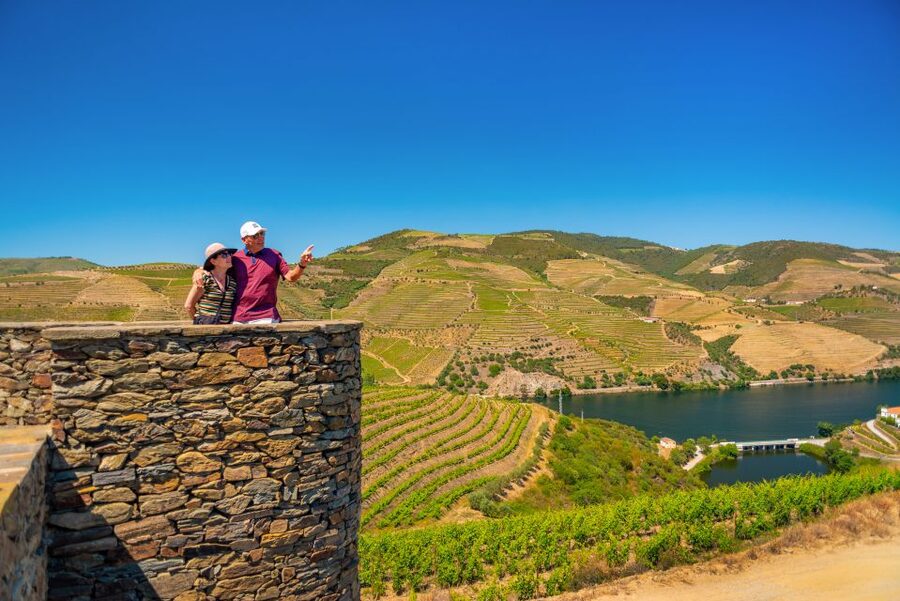 Porto: Douro Wine Tour with Lunch and River Cruise - Who will enjoy this Douro day trip?