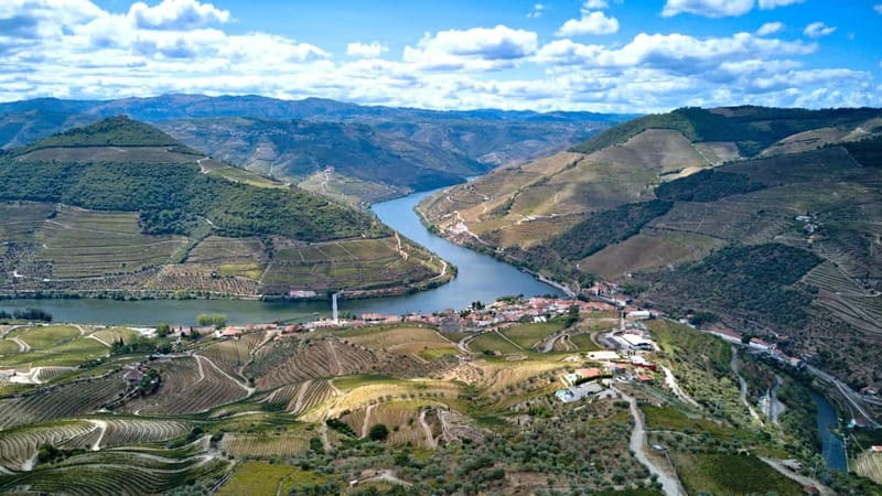 Porto: Douro Wine Tour with Lunch and River Cruise - The second winery and the value of comparison