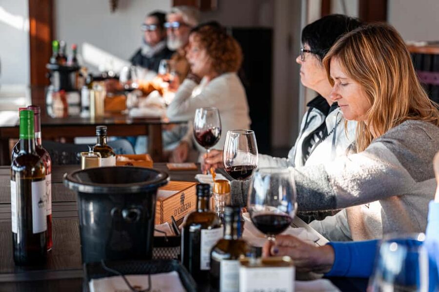 Porto: Douro Wine Tour with Lunch and River Cruise - The return to Porto
