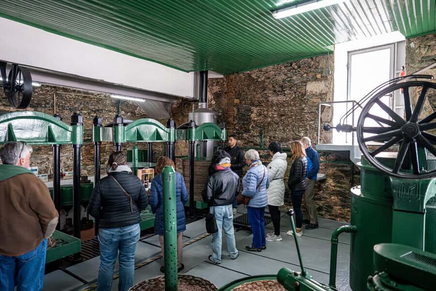 Porto: Douro Wine Tour with Lunch and River Cruise - Is $153 a fair price?