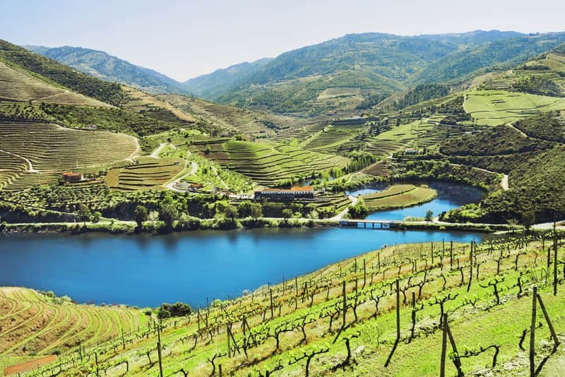 Porto: Douro Wine Tour with Lunch and River Cruise - Pickup in Porto and the 105-minute drive
