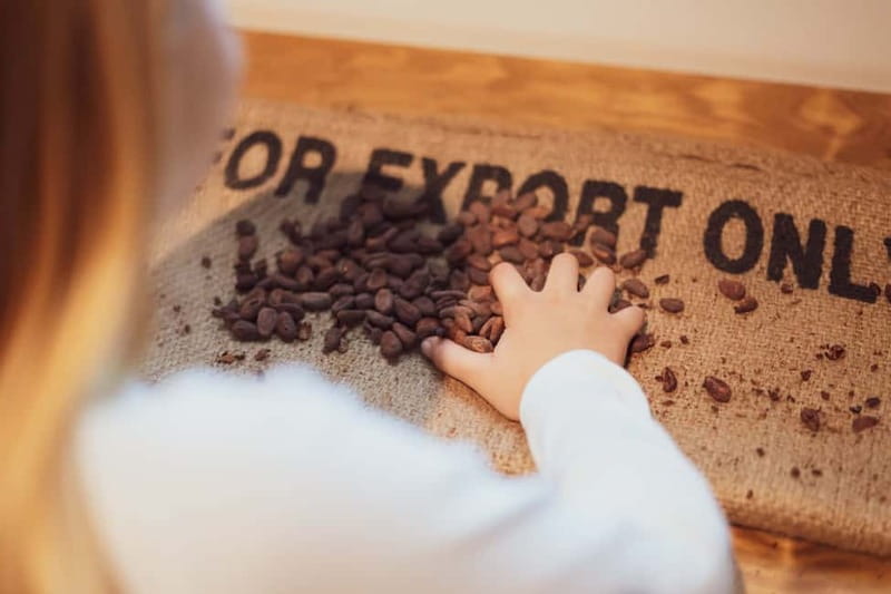 Porto: Entry Ticket at WOW The Chocolate Experience by 20|20 - Key points at a glance