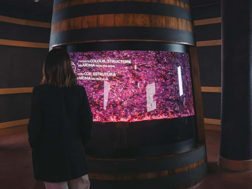 Porto: Entry Ticket at WOW - The Wine Experience Museum - Who will enjoy The Wine Experience most?