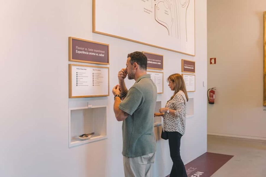 Porto: Entry Ticket at WOW - The Wine Experience Museum - From root and vine to fermentation