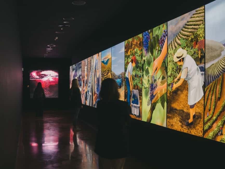 Porto: Entry Ticket at WOW - The Wine Experience Museum - Portugal’s wine regions in one visit