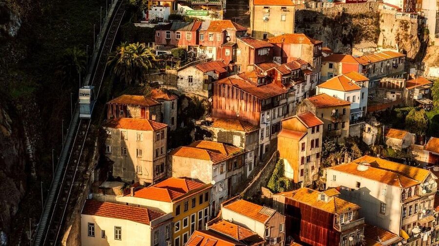 Porto Fado Night Show + Dinner - Key points to know before booking