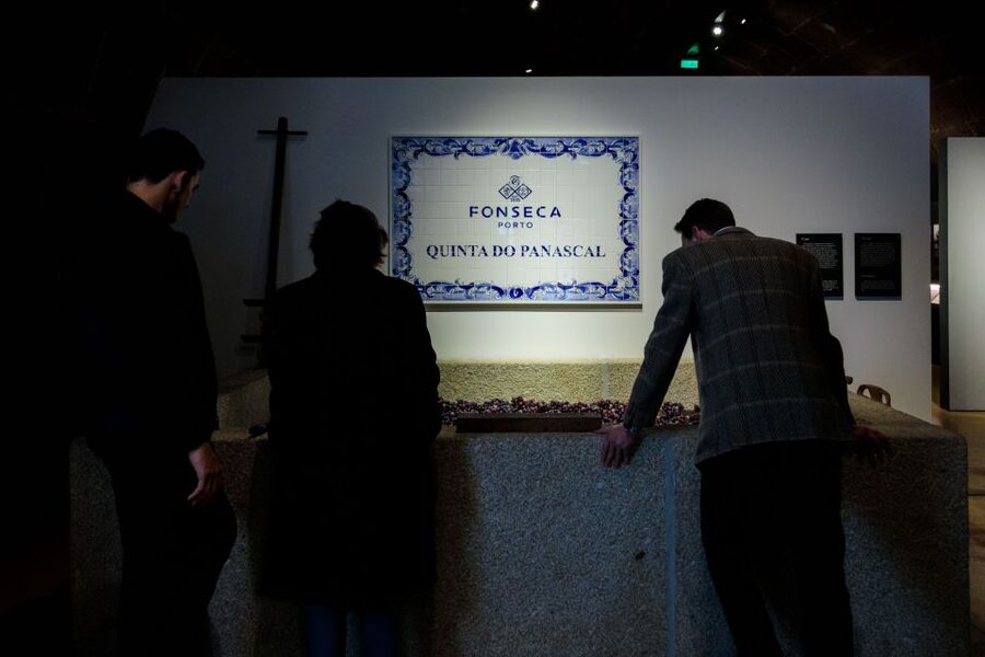 Porto: Fonseca Cellar Tour & Fado Show with Optional Dinner - Adding the three-course dinner at WOW Porto