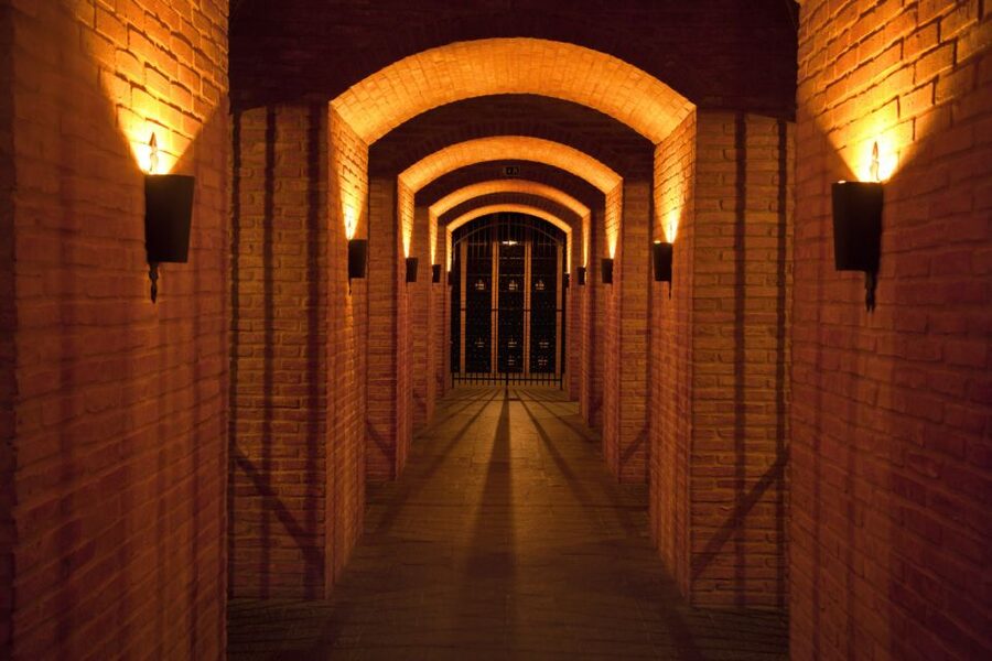 Porto: Graham's Port Lodge Tour with Premium Wine Tastings - Graham’s Port Lodge Tour at a Glance