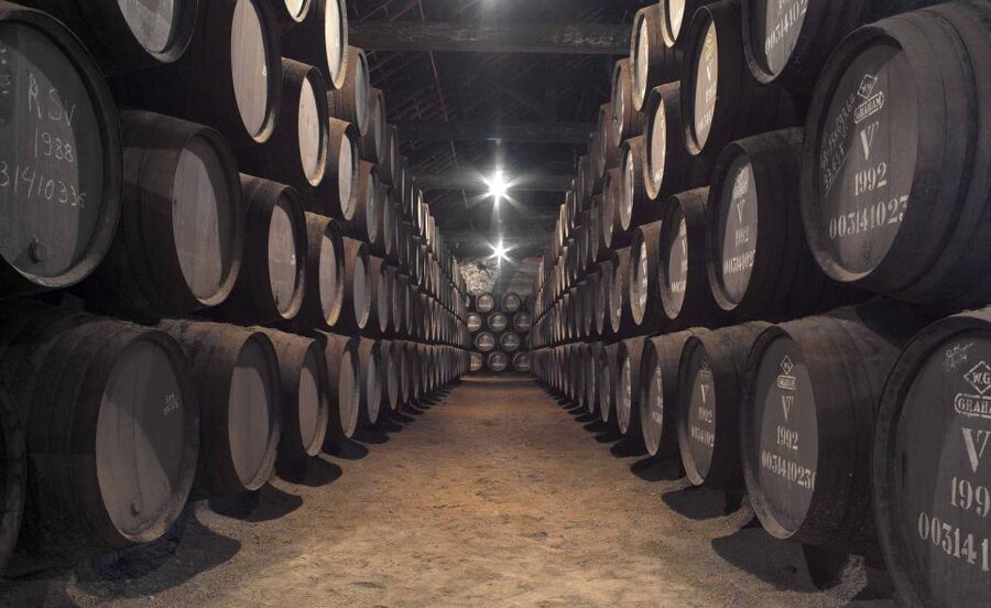 Porto: Graham's Port Lodge Tour with Premium Wine Tastings - Why the Port Production Lesson Matters