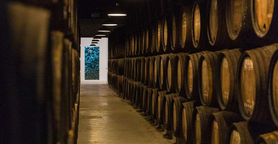 Porto: Guided Tour and Tasting of 3 Port Wines at Poças - Arriving at Poças in Vila Nova de Gaia