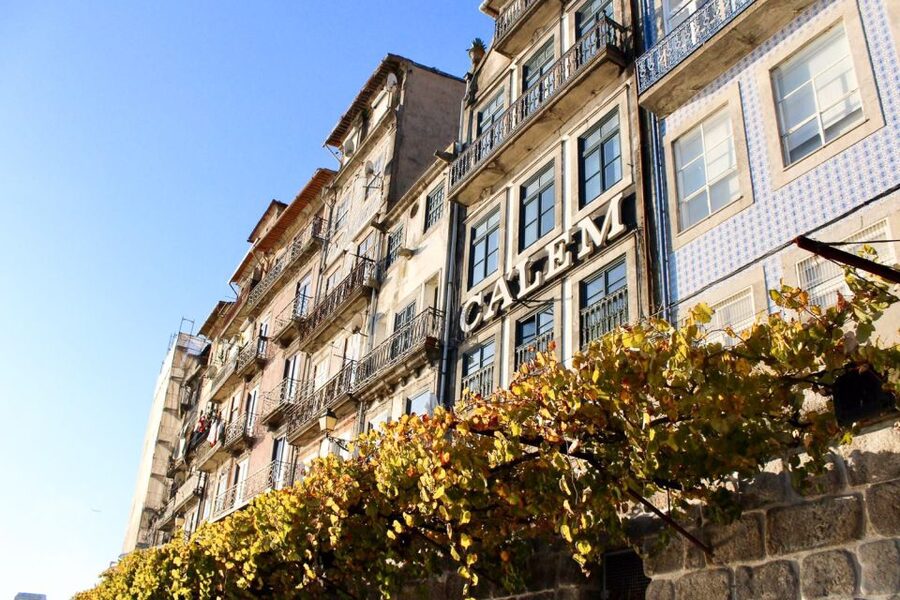 Porto: Guided Walking Tour and Lello Bookshop - Walking comfort, weather, and language
