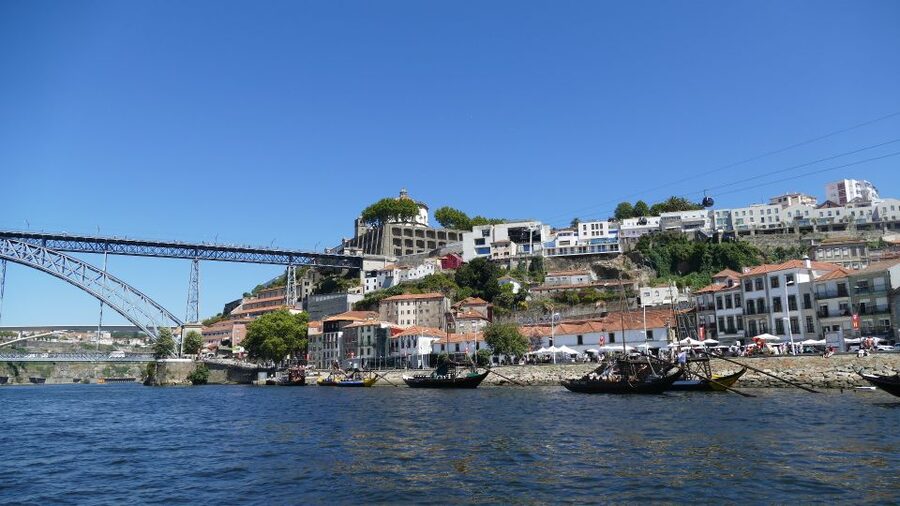 Porto Half-Day Tour and Wine Tasting - The Guides Are the Tour’s Strongest Asset