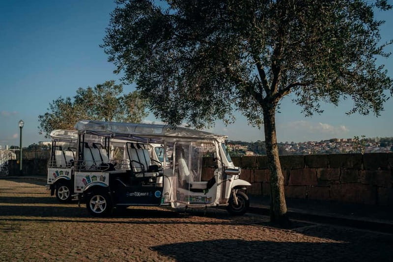Porto Half Day Tuk Tuk Tour Clérigos, Seaside and Viewpoints - Rua Santa Catarina, Porto’s shopping artery