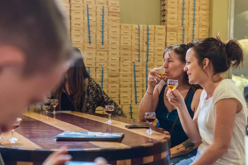 Porto: Magic Train Tour and Port Wine Cellar with Tastings - Key points to know before you go