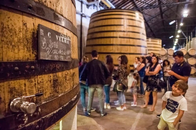 Porto: Magic Train Tour and Port Wine Cellar with Tastings - Entering Real Companhia Velha’s old cellar