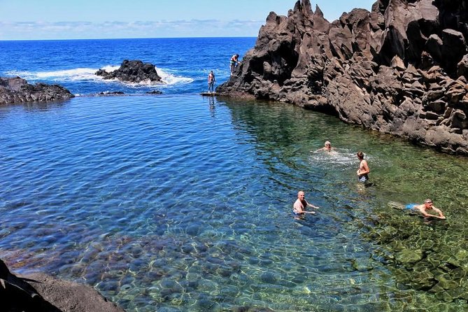 Porto Moniz 4WD Jeep Full Day Tour - Fanal Forest: ancient laurel trees and rough tracks