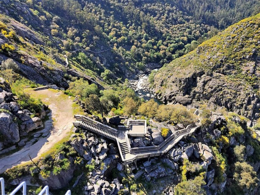 Porto: Paiva Walkways and Suspension Bridge Hike with Lunch - Who should book this tour?