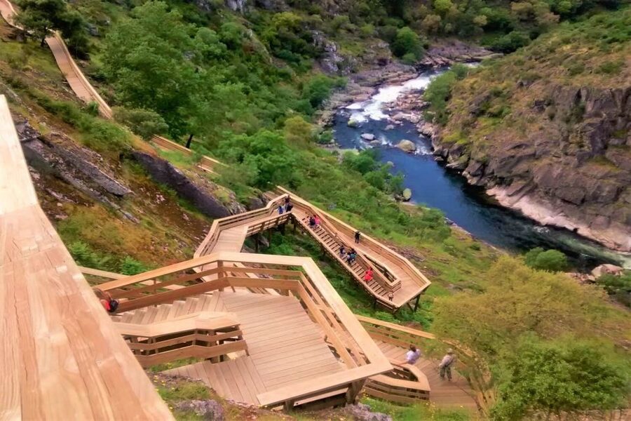 Porto: Paiva Walkways and Suspension Bridge Hike with Lunch - The small van and group size