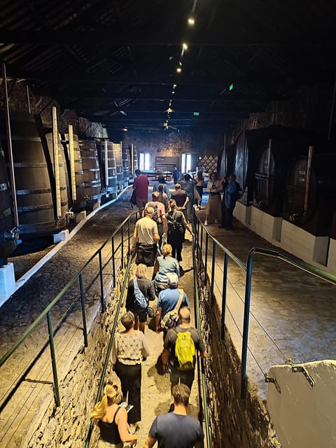 Porto: Port and Douro Wine Walking Tour with 9 Tastings - First stop: Vasques De Carvalho and the Port basics