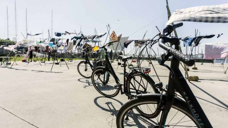 Porto Private E-Bike Tour: Douro River, Parks & Beaches - Jardim do Passeio Alegre and the Atlantic Air