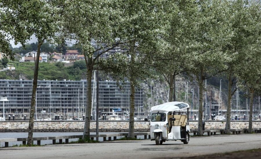 Porto: Private Sightseeing Tour by Electric Tuk Tuk - Palácio de Cristal for a quieter pause