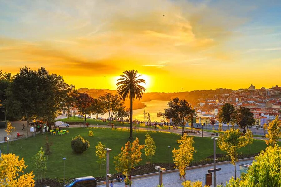 Porto: Private Sunset Walking Tour with Port Wine and Views - Aliados Avenue and the first look at downtown Porto