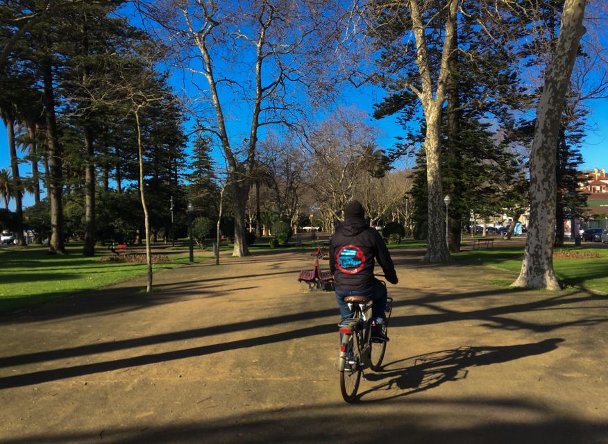 Porto: Riverside Panoramic E-Bike Tour - The cycling: easy motor, real road skills