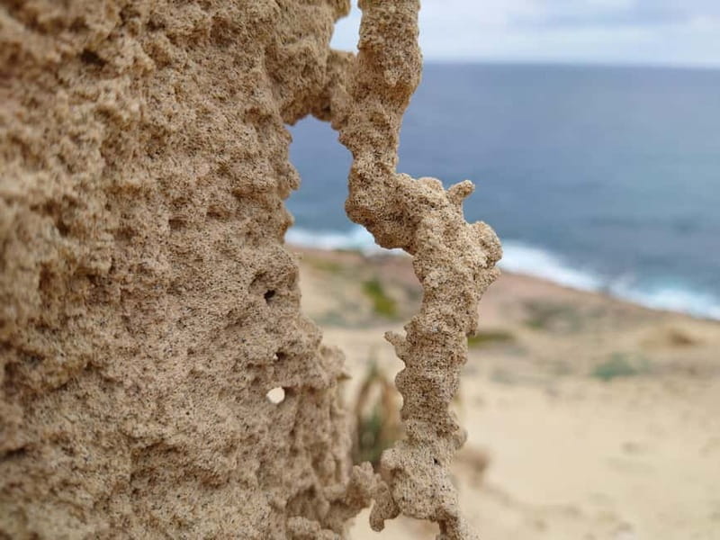 Porto Santo: Island Highlights 4x4 Tour with Hotel Transfers - A proper lunch break at a local restaurant