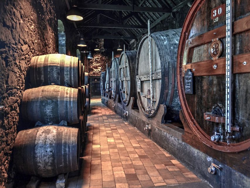 Porto: Self-Guided Bike and Boat Tour with Port Wine Tasting - Ending at a port wine cellar