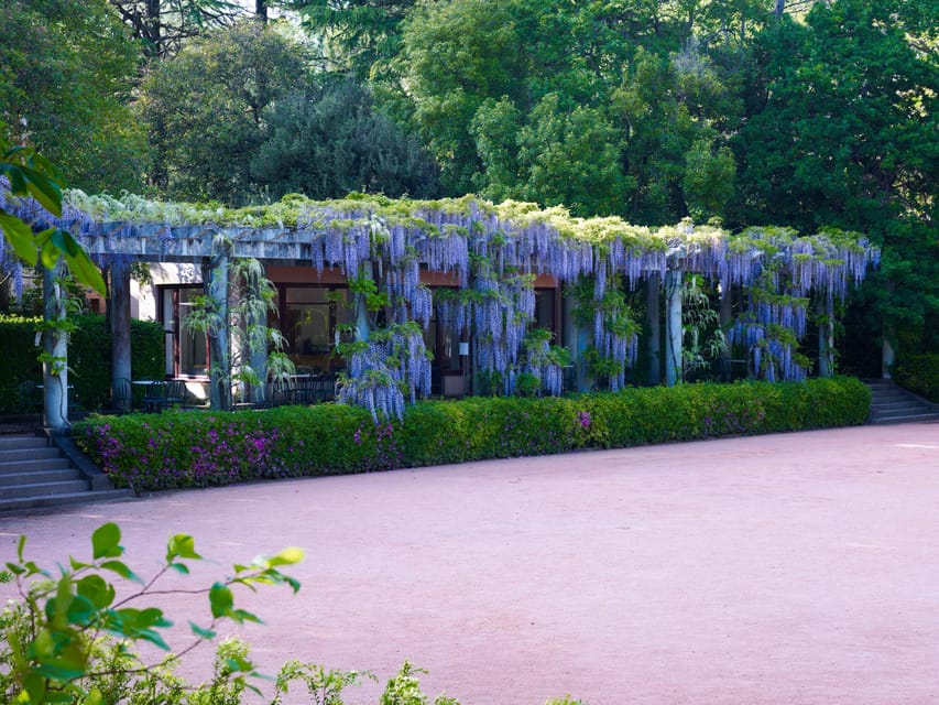 Porto: Serralves Foundation All Access Pass - Practical details that can save you time