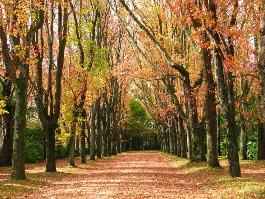 Porto: Serralves Foundation All Access Pass - The 18-hectare Serralves Park