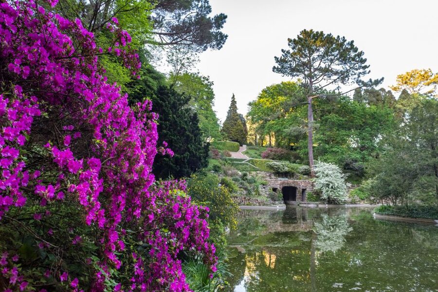 Porto: Serralves Foundation All Access Pass - How to plan your day at Serralves