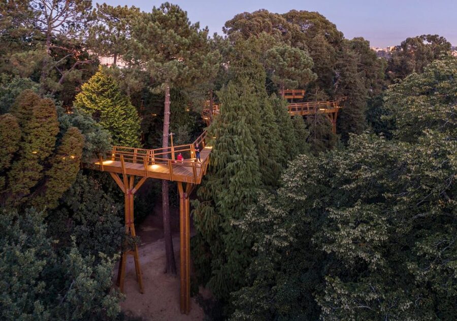 Porto: Serralves Park Entry Ticket - Eight Thousand Plants Across Eighteen Hectares