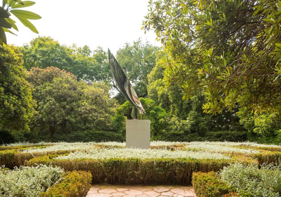 Porto: Serralves Park Entry Ticket - The TreeTop Walk and a New View of the Park