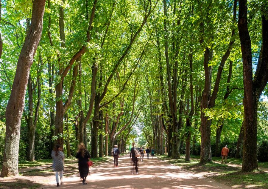 Porto: Serralves Park Entry Ticket - The House, Art, and Garden Setting
